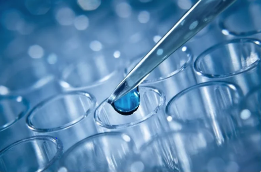 Enzyme Kinetics